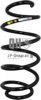 JP GROUP 1142207709 Coil Spring